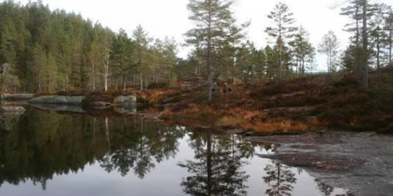 Lukehus
