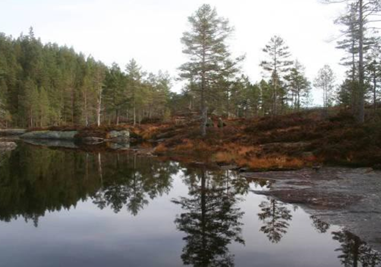Lukehus